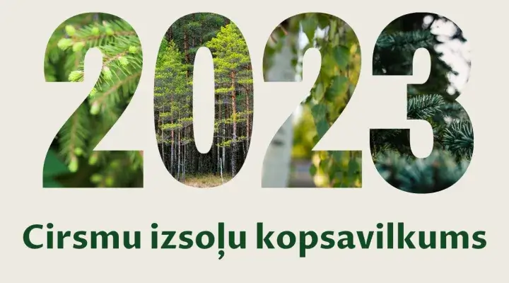 cirsmu izsoļu apkopojums un cirsmu cenas 2023.gadā