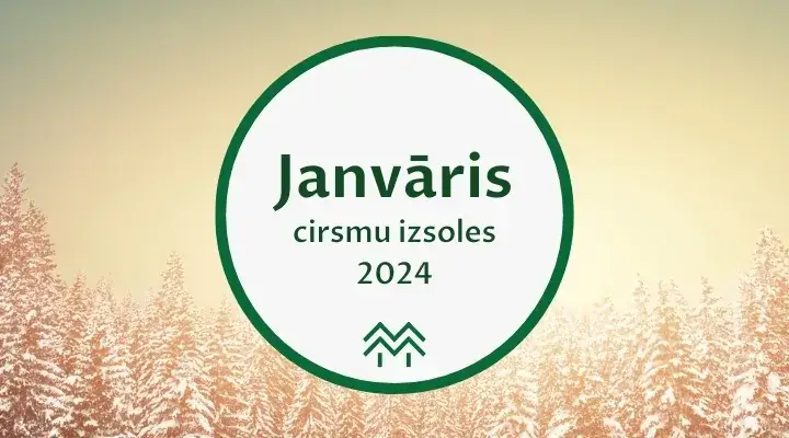 cirsmu cenas janvāris 2024 meža birža