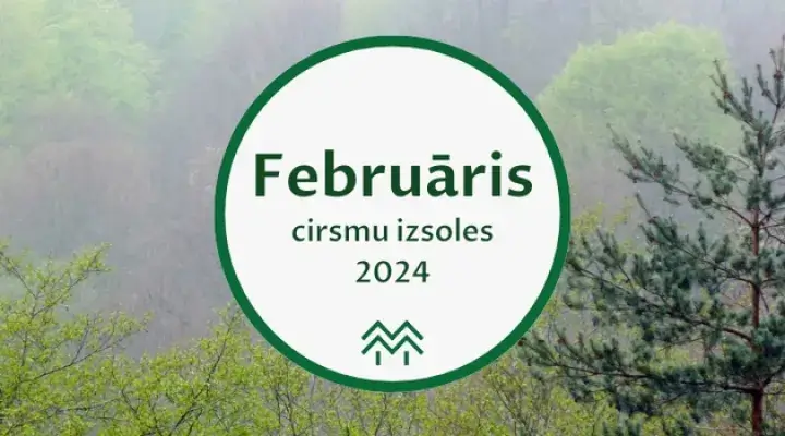 februāris 2024 cirsmu cenas statistika meža birža