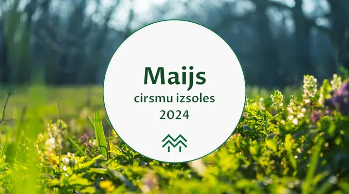 cirsmu cenu statistika meža birža 2024 maijs