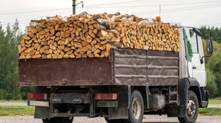 Steri, kraujmērs, ciešmetru m3 un pārrēķina koeficienti