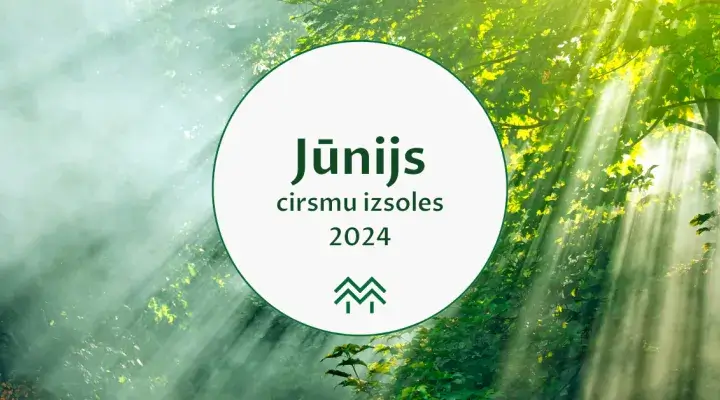 cirsmu cenas 2024 meža birža jūnijs