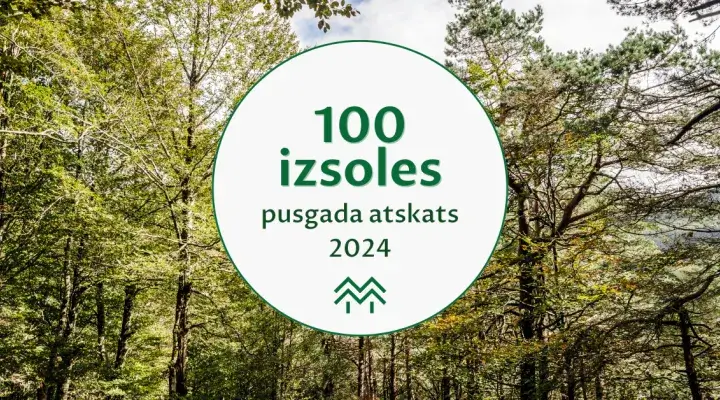 Pusgada statistikas apskats Meža Biržā | Tendences meža nozarē 2024