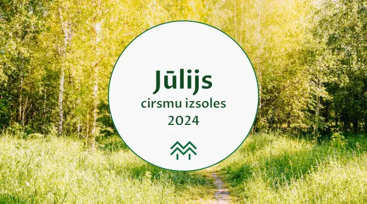 jūlijs cirsmu cenas 2024