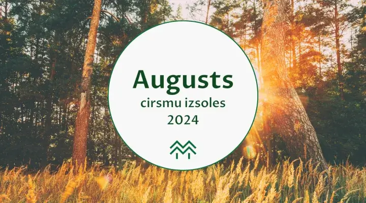 cirsmu cenas meža birža 2024 augusts