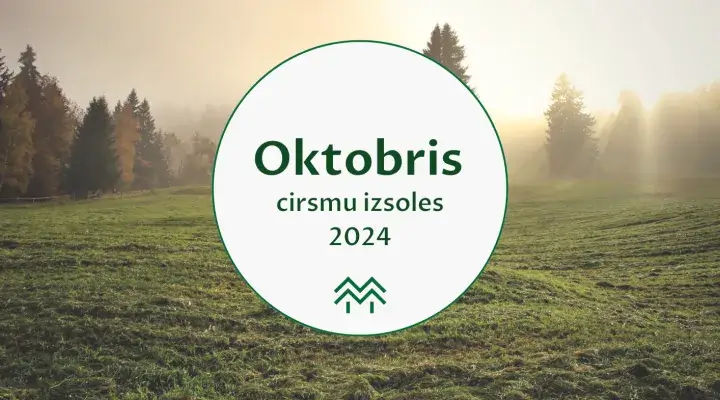 Mēneša aktīvākais reģions - Kurzeme | Oktobra cirsmu cenu apkopojums