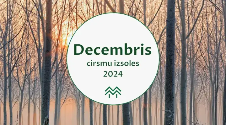 decembris cirsmu cenas meža birža