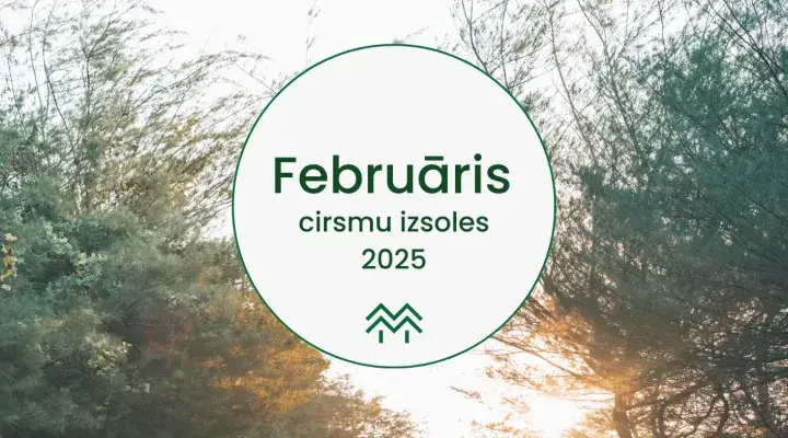 Februāra cirsmu cenas Meža Biržā