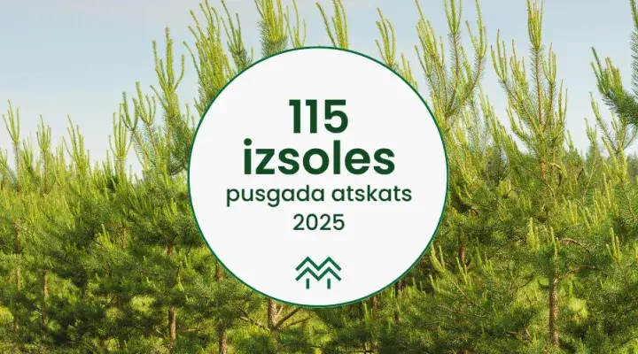 Pusgada statistikas apskats Meža Biržā | Tendences mežu nozarē 2025