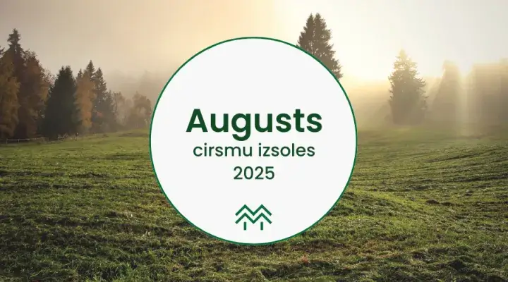 Cirsmu cenas Augusts 2025
