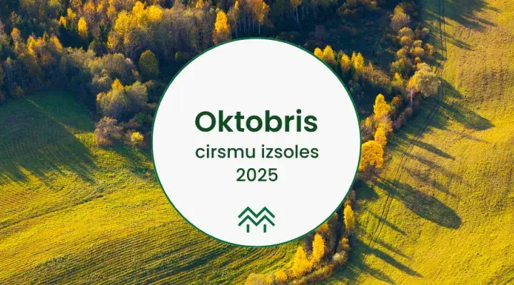 Cirsmu izsoles un cirsmu cenas Oktobrī