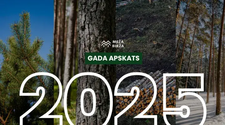 Gada apsakts meža nozarē 2025