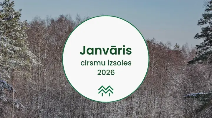 Cirsmu izsoles un cirsmu cenas janvārī