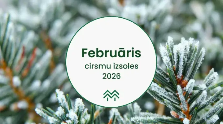 Meža cirsmu izsoles februārī Meža Birža