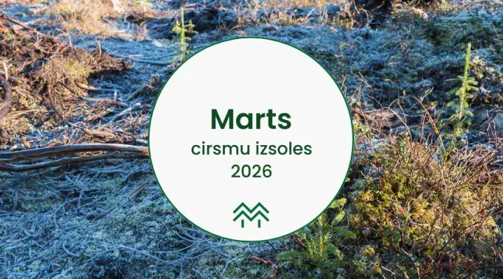 Cirsmu izsoles un cenas marts