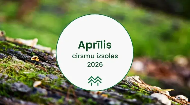 cirsmu izsoles un meža izsoles aprīlis
