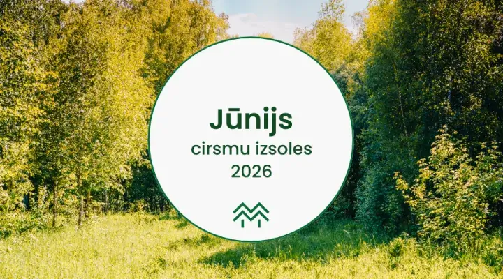 Cirsmu izsoles un cenas jūnijā